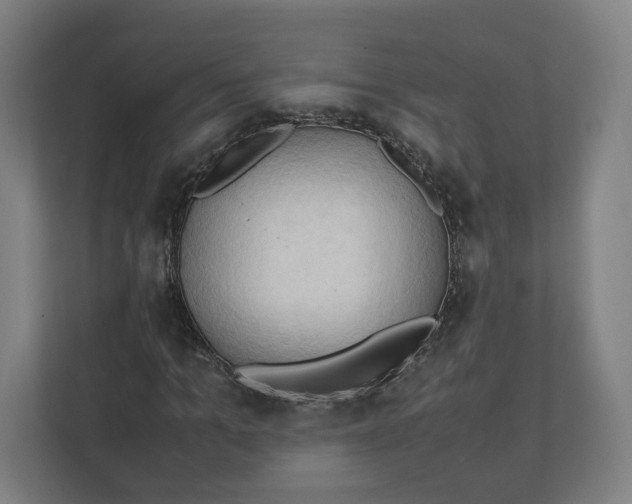 X0000111950965200908171314