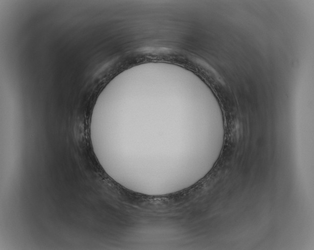 X0000111950966200908171314