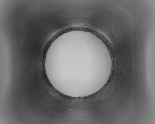 X0000111950968200908171314