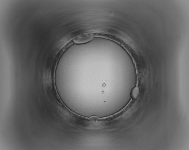 X0000111950969200908171314