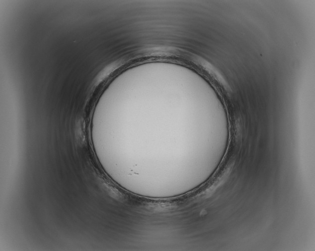 X0000111950970200908171314