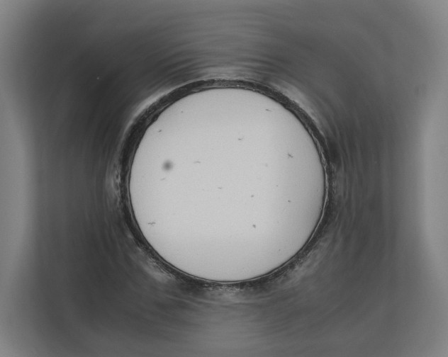 X0000111950971200908171314