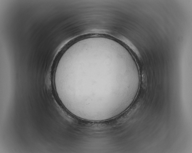 X0000111950972200908171314