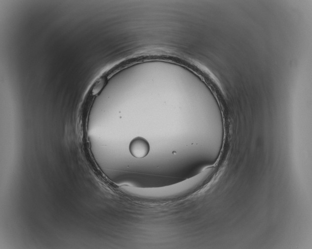 X0000111950973200908171314