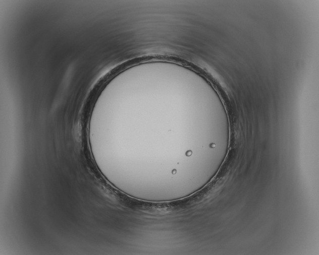 X0000111950975200908171314