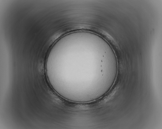 X0000111950977200908171314