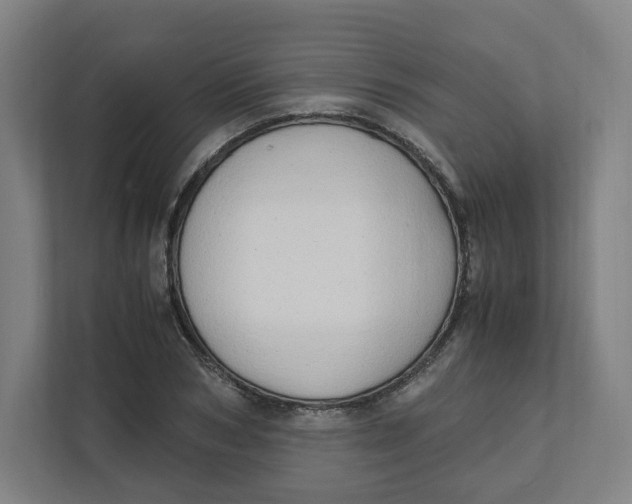 X0000111950978200908171314