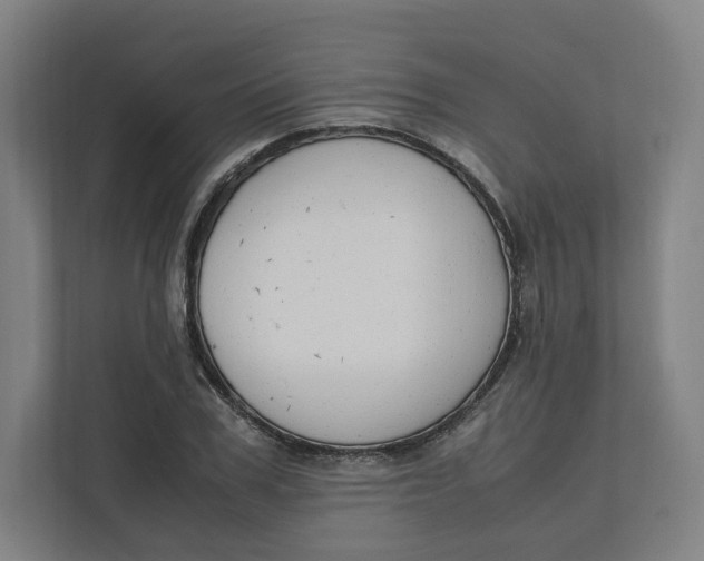 X0000111950979200908171314