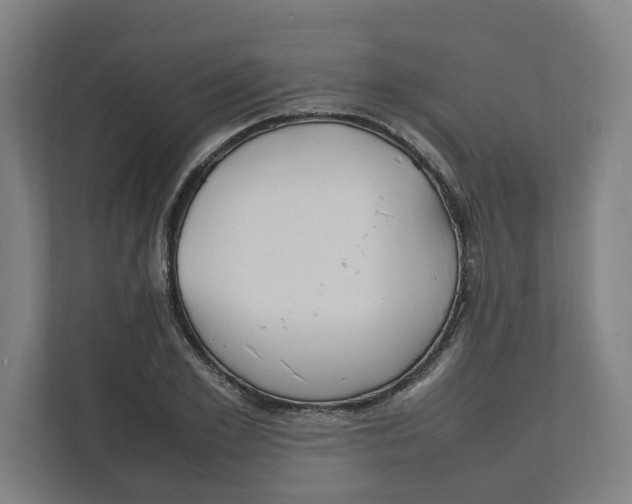 X0000111950981200908171314