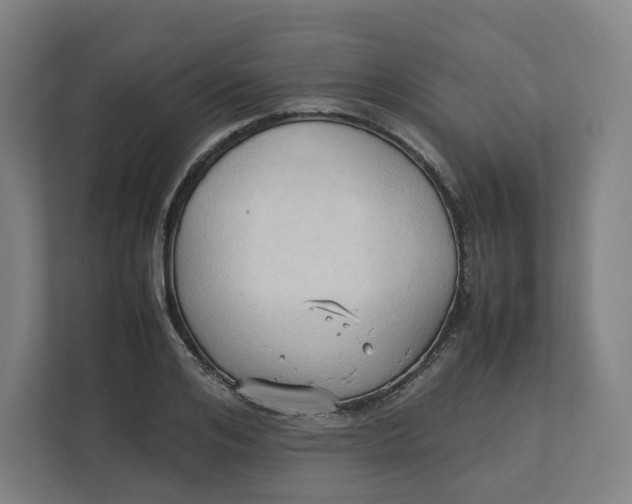 X0000111950984200908171314