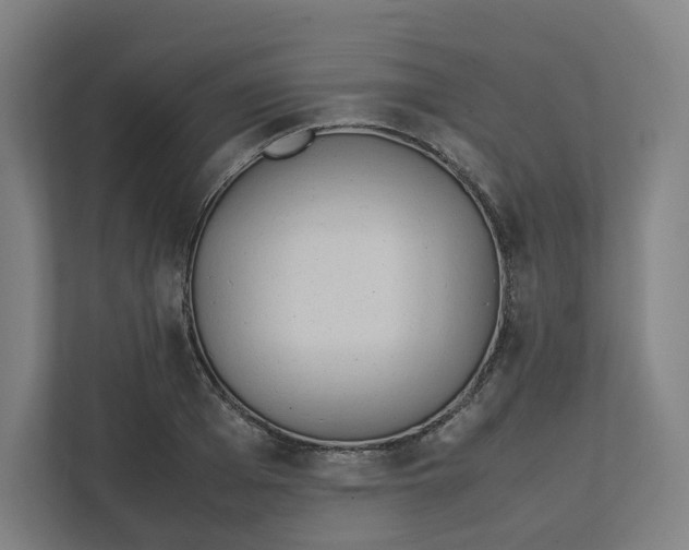 X0000111950985200908171314