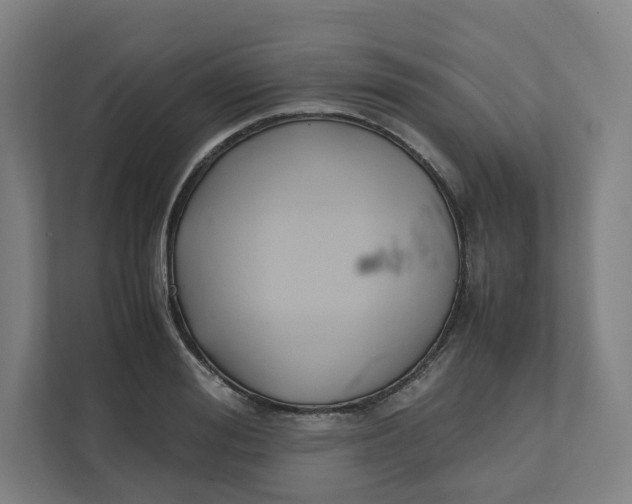 X0000111950988200908171314