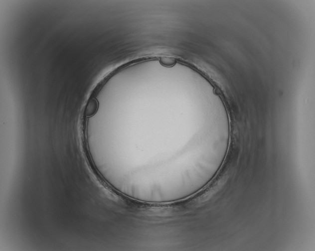 X0000111950989200908171314