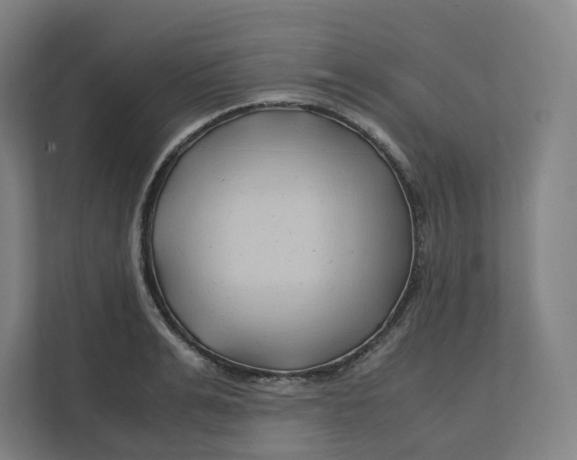 X0000111950991200908171314