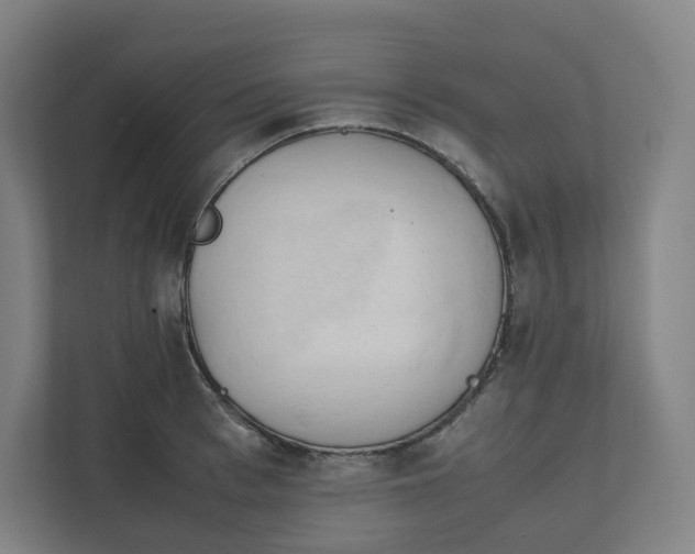 X0000111950993200908171314