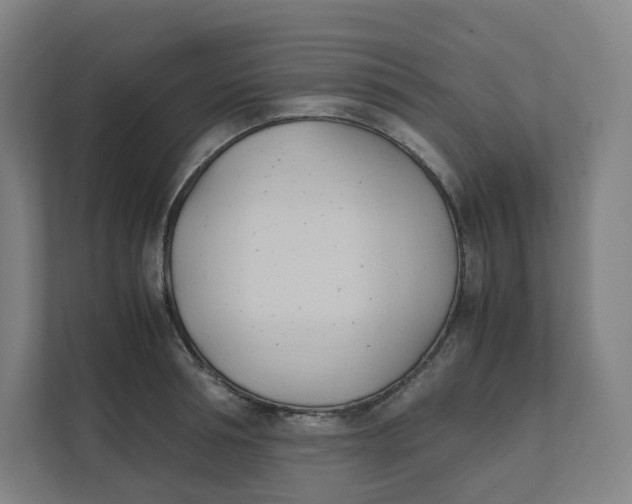 X0000111950994200908171314