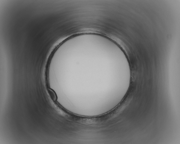 X0000111950995200908171314