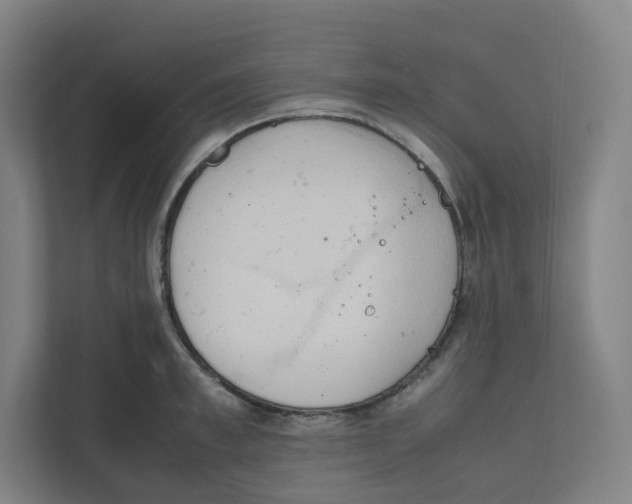 X0000111950997200908171314