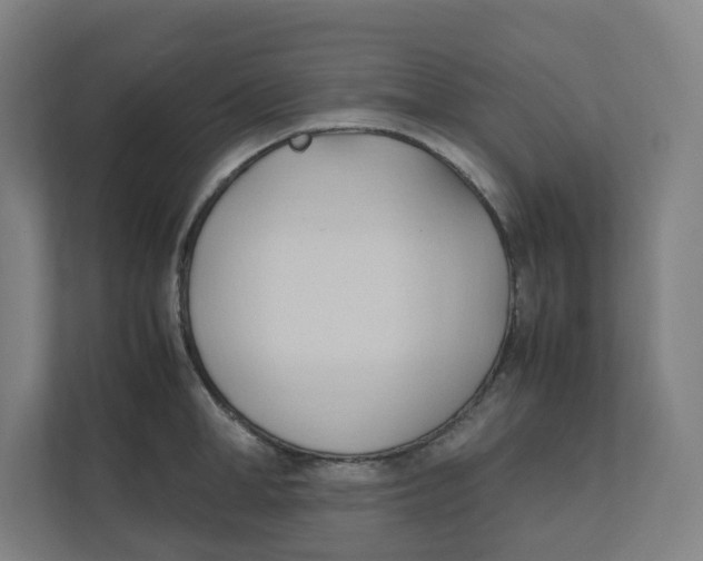 X0000111950998200908171314