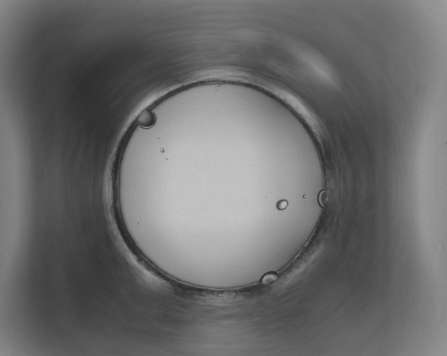 X0000111950999200908171314