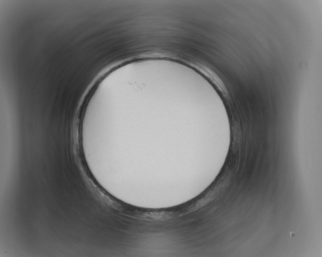 X0000111951000200908171314