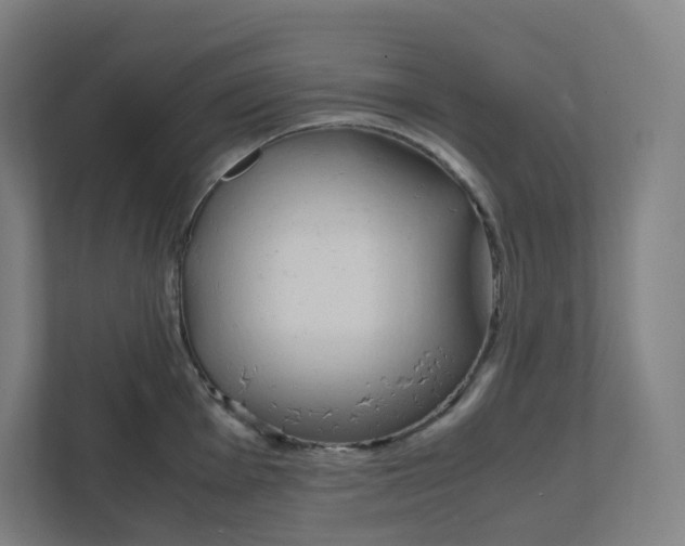 X0000111951001200908171314