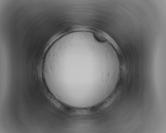 X0000111951002200908171314