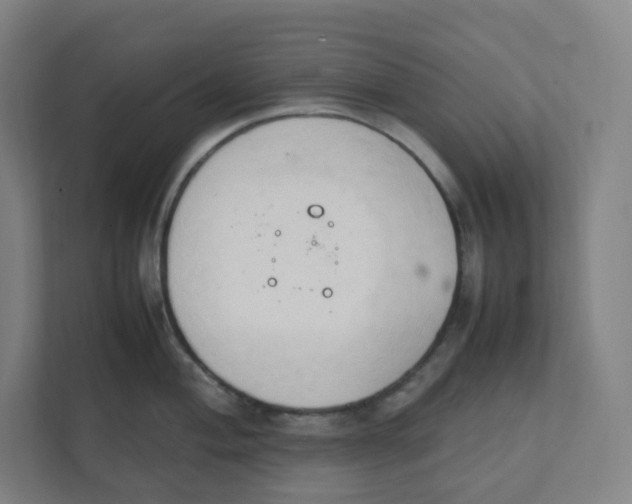 X0000111951004200908171314