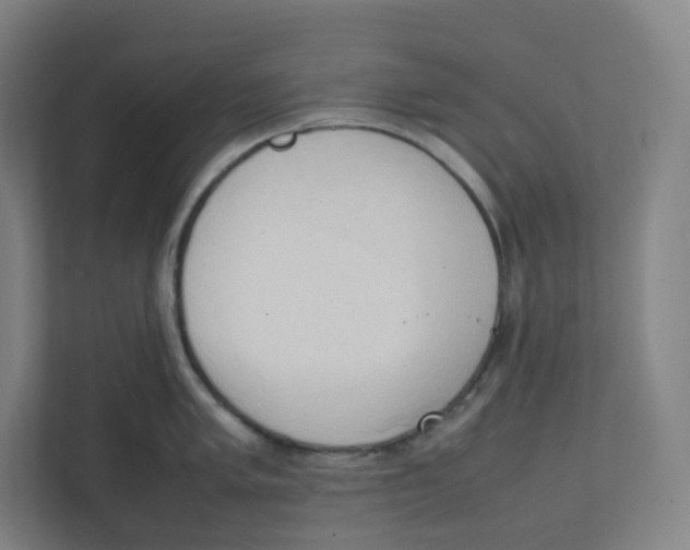 X0000111951005200908171314