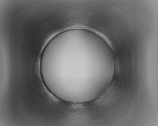 X0000111951006200908171314