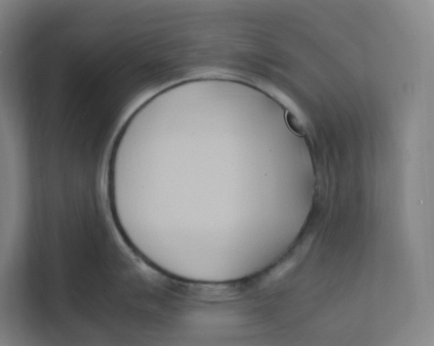 X0000111951007200908171314