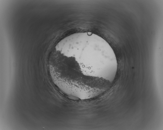 X0000111951009200908171313