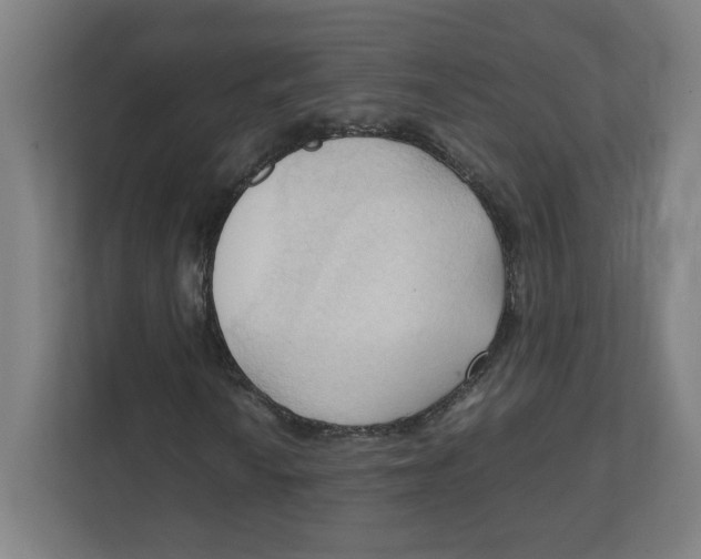 X0000111951010200908171313