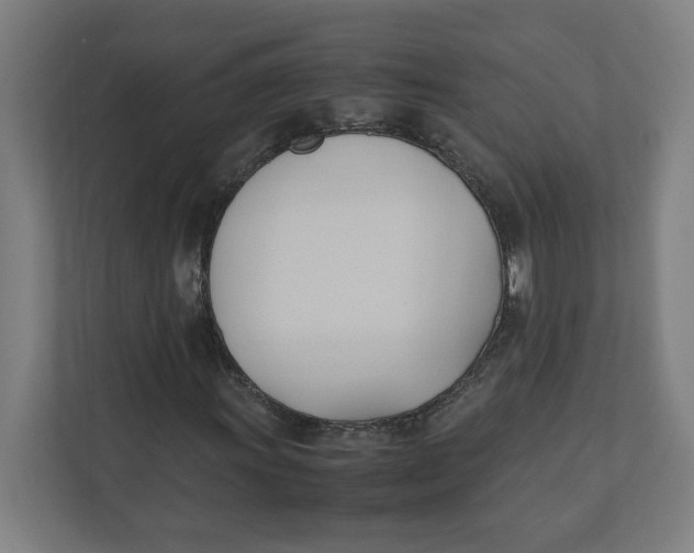 X0000111951011200908171313