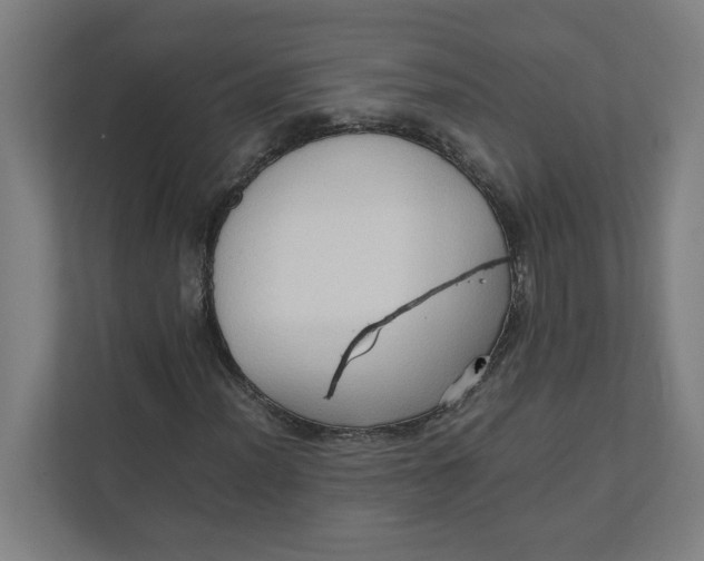 X0000111951012200908171313