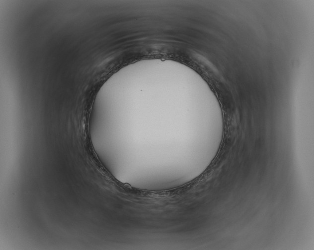 X0000111951013200908171313