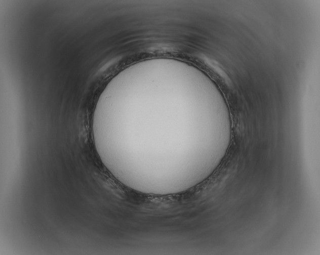 X0000111951015200908171313