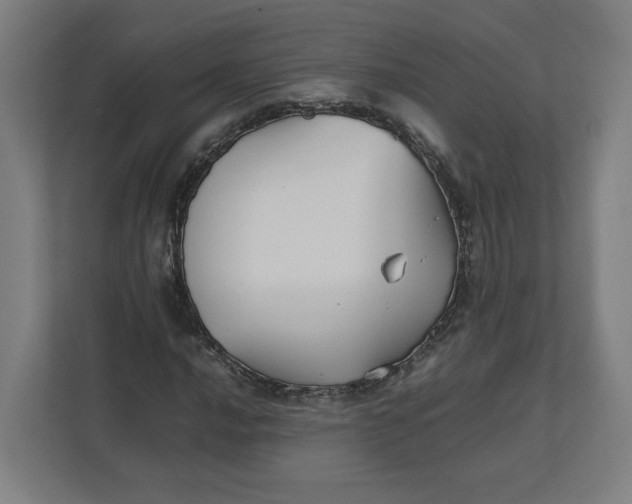 X0000111951016200908171313