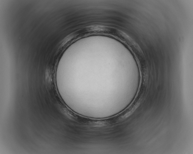 X0000111951017200908171313