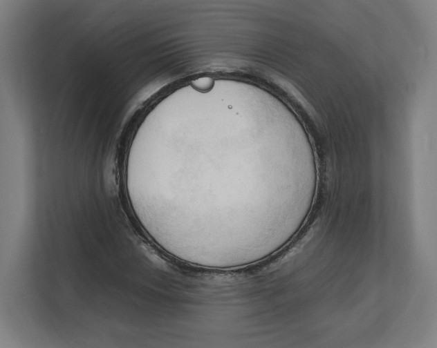 X0000111951018200908171313