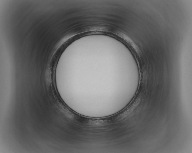 X0000111951019200908171313