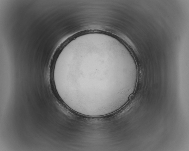 X0000111951020200908171313