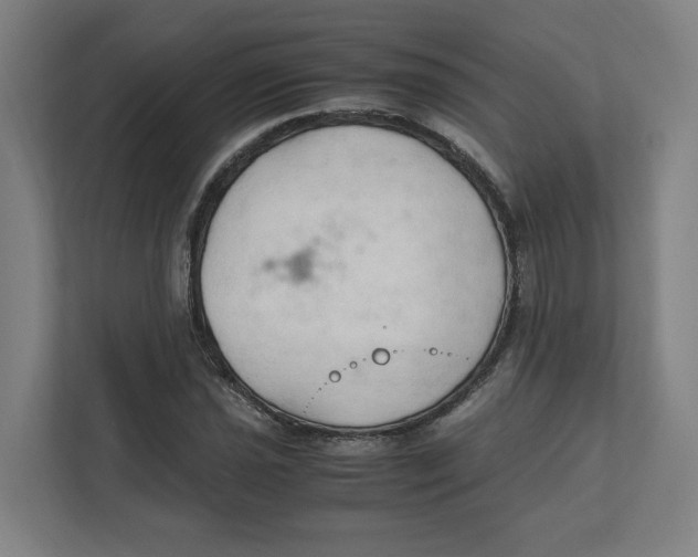 X0000111951021200908171313