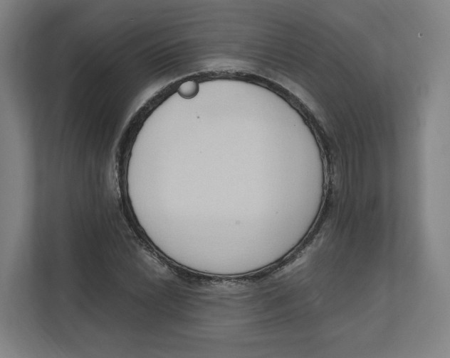 X0000111951022200908171313