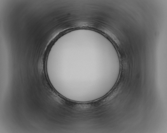 X0000111951023200908171313