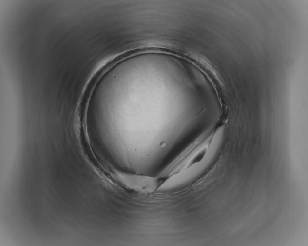 X0000111951024200908171313