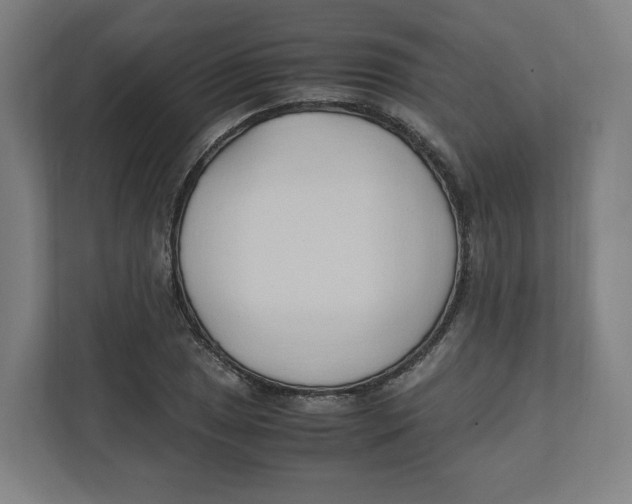 X0000111951025200908171313