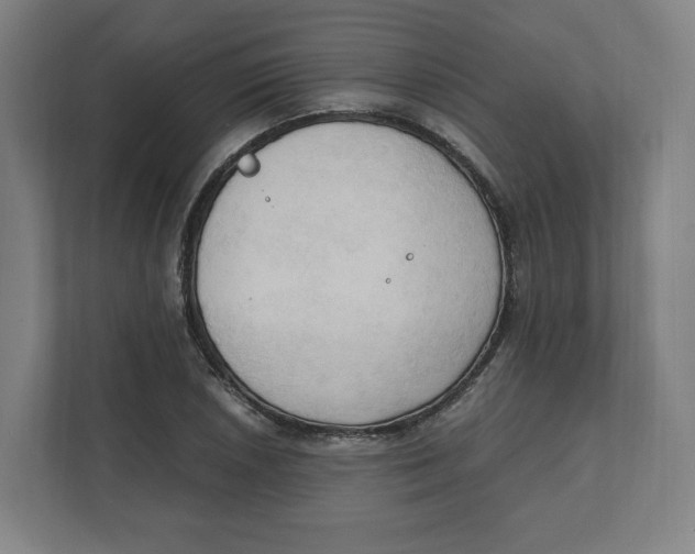 X0000111951026200908171313