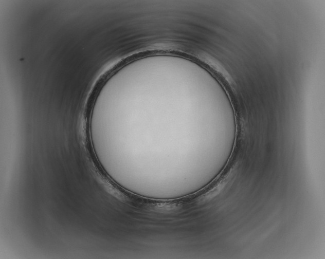 X0000111951029200908171313