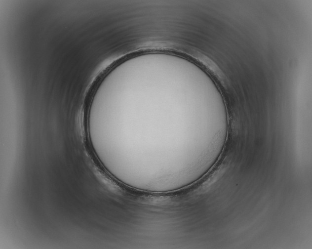 X0000111951030200908171313